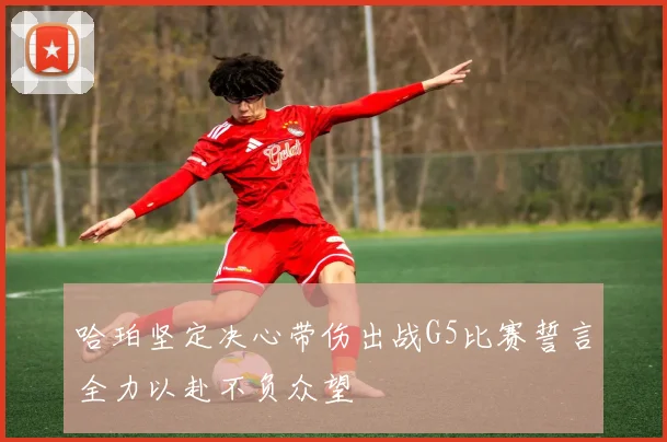 哈珀坚定决心带伤出战G5比赛誓言全力以赴不负众望