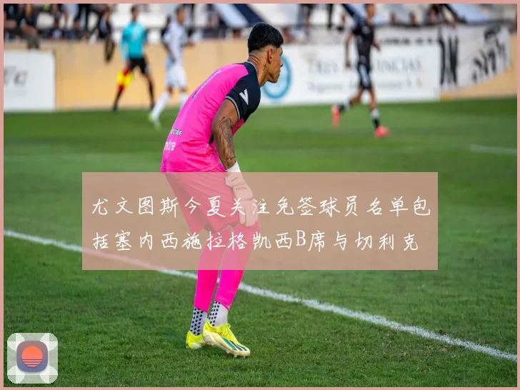 尤文图斯今夏关注免签球员名单包括塞内西施拉格凯西B席与切利克